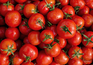 西红柿的营养与功效