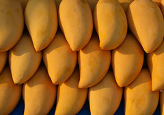 芒果具有哪些营养价值，为什么能促进肠胃的吸收？