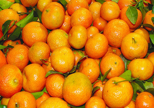 空腹的时候可以吃桔子吗？橘子吃多了会不会上火？是否含有丰富的维C？