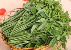 新鲜的空心菜叶如何种植才能茁壮成长？