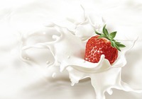 牛奶草莓的介绍