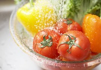 西红柿的盆栽技巧