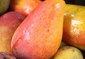 芒果的作用和禁忌介绍，哪些人群不宜吃芒果