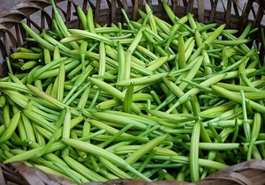 黄花菜有什么特殊功效？黄花菜真的能够健脑吗