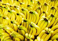 香蕉减肥法的介绍