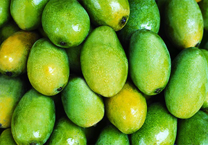 芒果有哪些营养功效，在吃芒果时存在哪些禁忌？