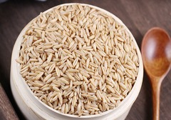 燕麦的种植技巧