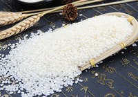 粳米的种植方法
