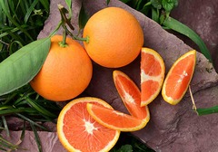 红肉脐橙什么时候成熟？市场上多少钱一斤？红肉脐橙和普通橙子有哪些区别