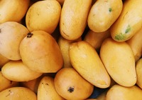 芒果减肥法