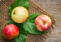 水果减肥法及高热量水果