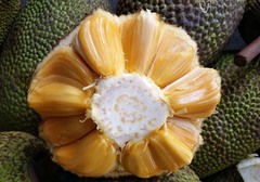 菠萝蜜为什么长在树干，快速剥菠萝蜜的方法，手上的汁液如何清洗