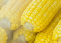 玉米烙如何制作成面粉