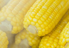 玉米烙如何制作成面粉