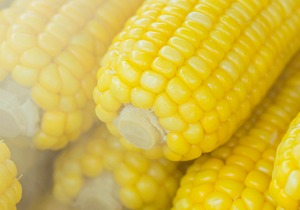 玉米面的多种好吃做法