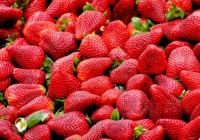 为什么外国草莓这么贵