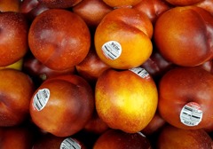 油桃的皮可以直接吃吗？普通桃子的皮为什么不能吃？为什么桃子核附近吃起来苦苦的