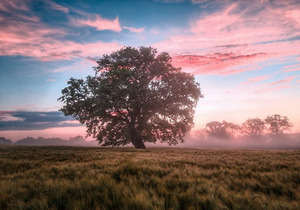 不抱怨的力量有多大?