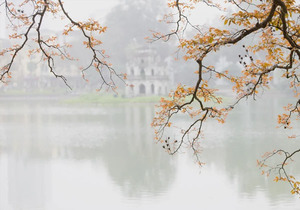 人到了一定年纪,终要学会“断、舍、离”