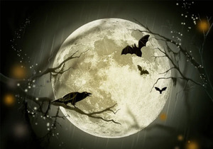 你不让孩子吃苦,这个世界会让他很苦