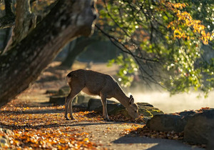 当你越来越沉默,越来越不想说......
