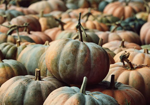 吃干净自己碗里的饭菜,原来还有这种福报!