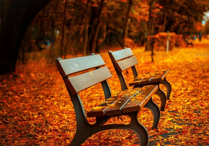 不抱怨的力量有多大?(看完恍然大悟!)