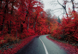 换位思考,换位做事,换位做人