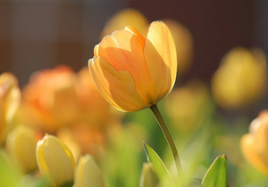 让人瞬间清醒的10个回答(精辟)