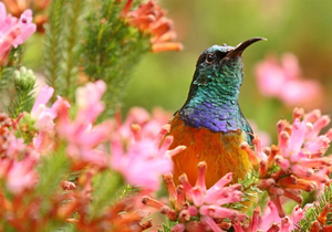 曾国藩:离你最近的三个人,决定了你一生的走向