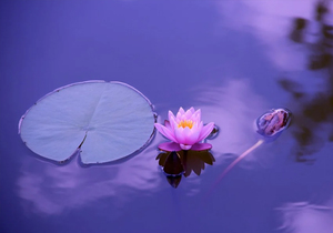 天道酬勤,地道酬什么?人道酬什么?