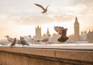 一种新型不孝,正在毁掉大量老年人的养老生活