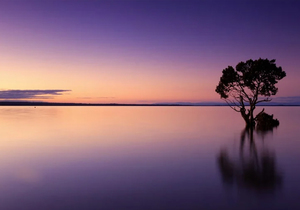 大事要静,急事要缓,难事要变,烂事要远