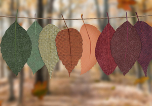 细节见人品,小事见人心