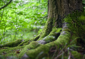 人生,是个还债的旅程(必读)