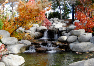 一直听说“上善若水”,原来是这个意思