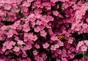故事很短,却说透了我们的一生!