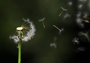 什么叫做人,这就是做人!