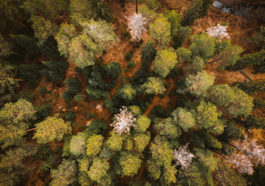 人生最难的修行:遇事不怒,对错不辩,输赢不争