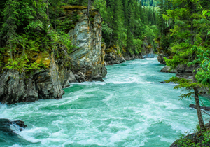 凡事从自己身上找原因,是一个人最高级的修养!