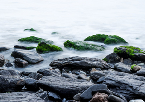 一个家走向兴旺,有三把钥匙