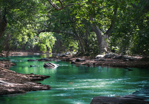 心地善良的人,脸上都有这3个记号,真的很准!看看你有吗?