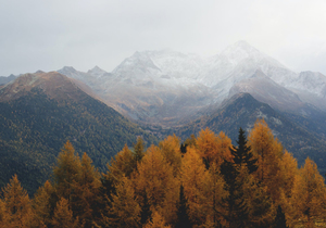 人,不能忘本;心,不能忘恩!