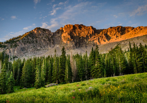 随和是素质,低调是修养,良心是底线