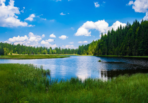 笑着让步,不是怂