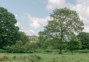 惊人的因果定律:人有善念,天必佑之!