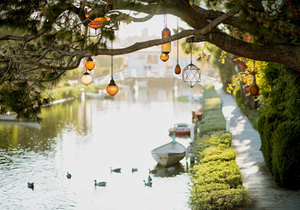 人生后半场,富养自己的最好方式