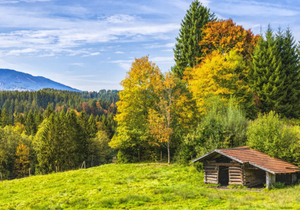 做人:高在忍,贵在让,心在善