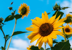 人与人最好的相处模式:尊重是标配,靠谱是高配,厚道是顶配