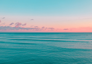 每天,给自己一个开心的理由